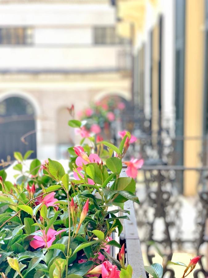 Bue Nero Casa de hóspedes Verona